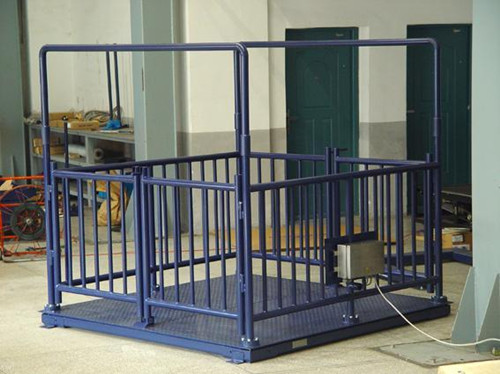 畜牧秤_畜牧秤價(jià)格_供應(yīng)稱豬稱牛等動(dòng)物專用畜牧秤(圖2) 畜牧秤